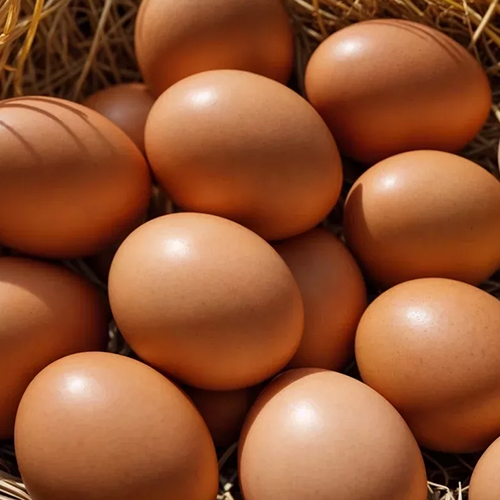 Oeufs